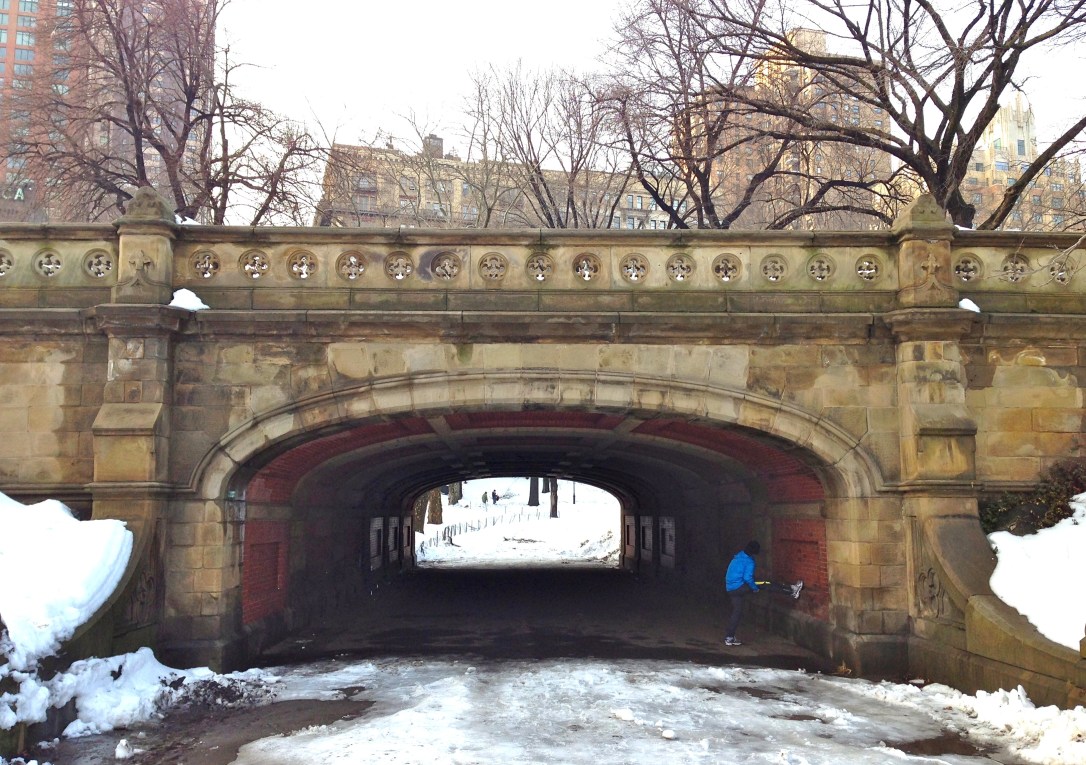 Westsidebridgecentralpark